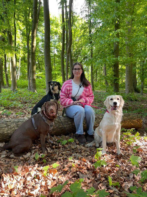 Frau mit Brille sitzt auf Baumstamm im Wald mit drei Hunden